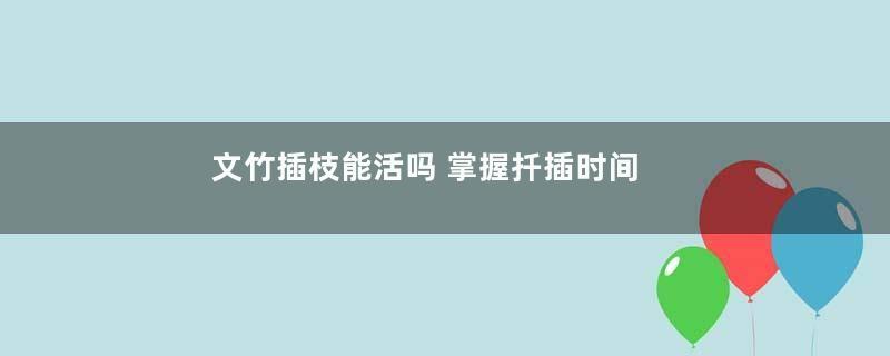 文竹插枝能活吗 掌握扦插时间和方法成活率高